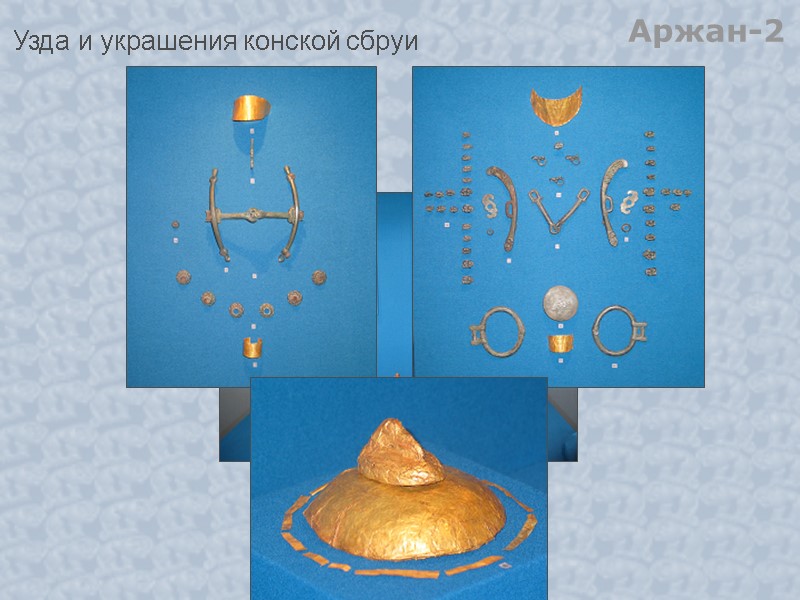 Узда и украшения конской сбруи Аржан-2